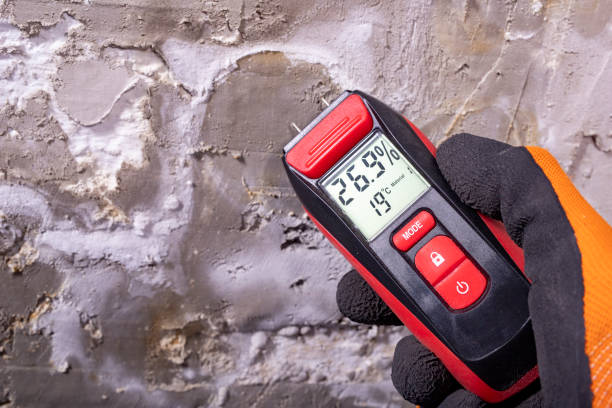 Robertsville, NJ Mold Remediation Company